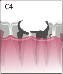 c4