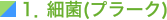 1、細菌(プラーク)